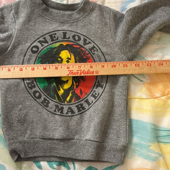 Zion kids sweatshirt 2 toddler - Picture 4 of 6